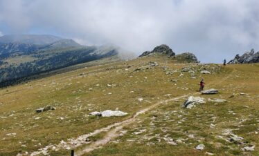 C2f18e90 F2e0 4788 8e16 Cea92d526934